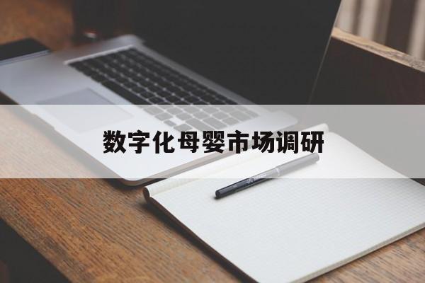 乌兰察布市数字化母婴市场调研(数字化母婴市场调研报告)