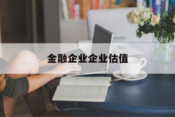 乌兰察布市金融企业企业估值(最新企业估值怎么填)